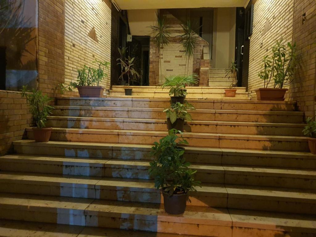YOUVALA Serviced Apartment 2nd District photo 2
