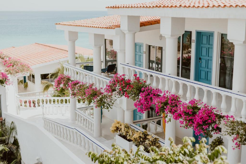 Mar del Cabo By Velas Resorts photo 4
