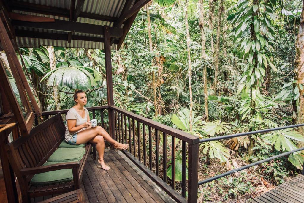 Daintree Wilderness Lodge - Tap to explore photos