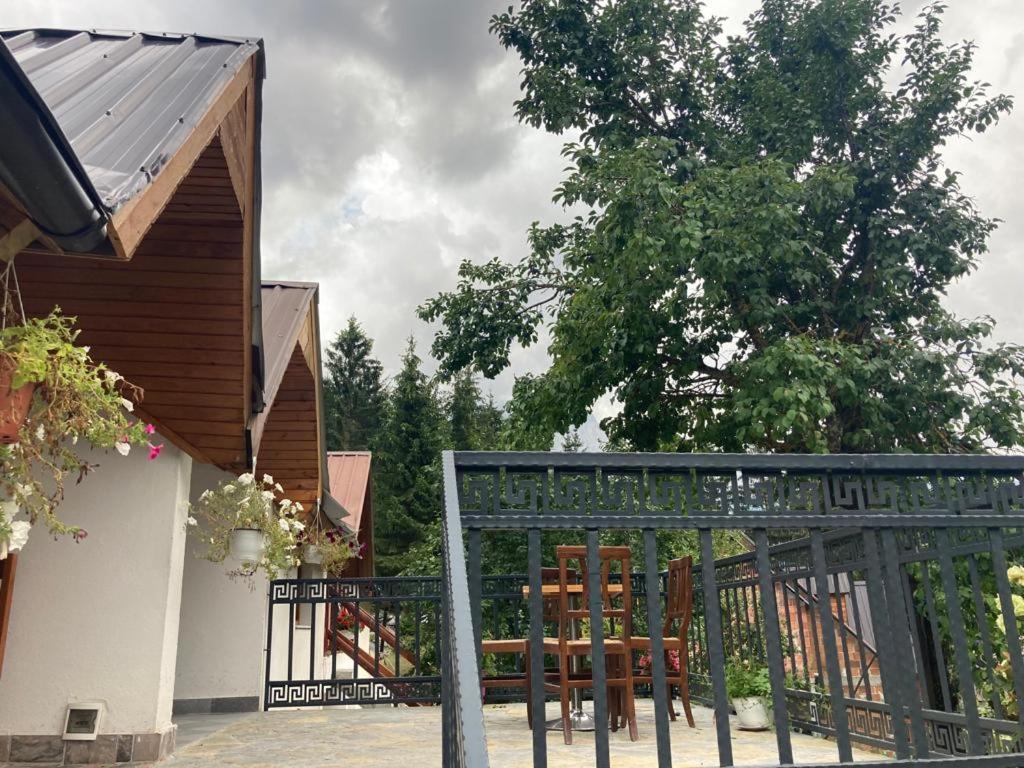Bujtina Arturi photo 3