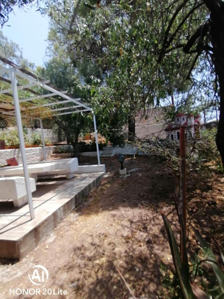 ΕΞΟΧΙΚΗ ΚΑΤΟΙΚΙΑ photo 2
