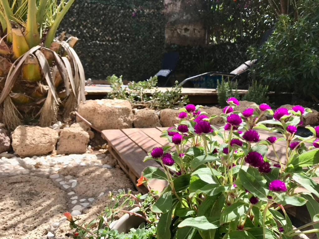 Casa VivaQi Tenerife photo 4
