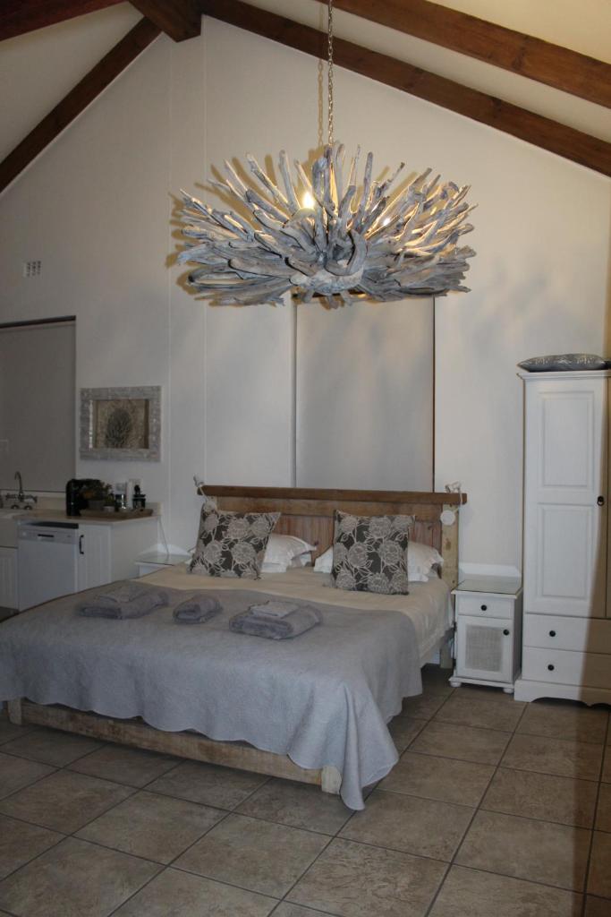 Kleinzee Oceanfront Whole House Self Catering photo 4