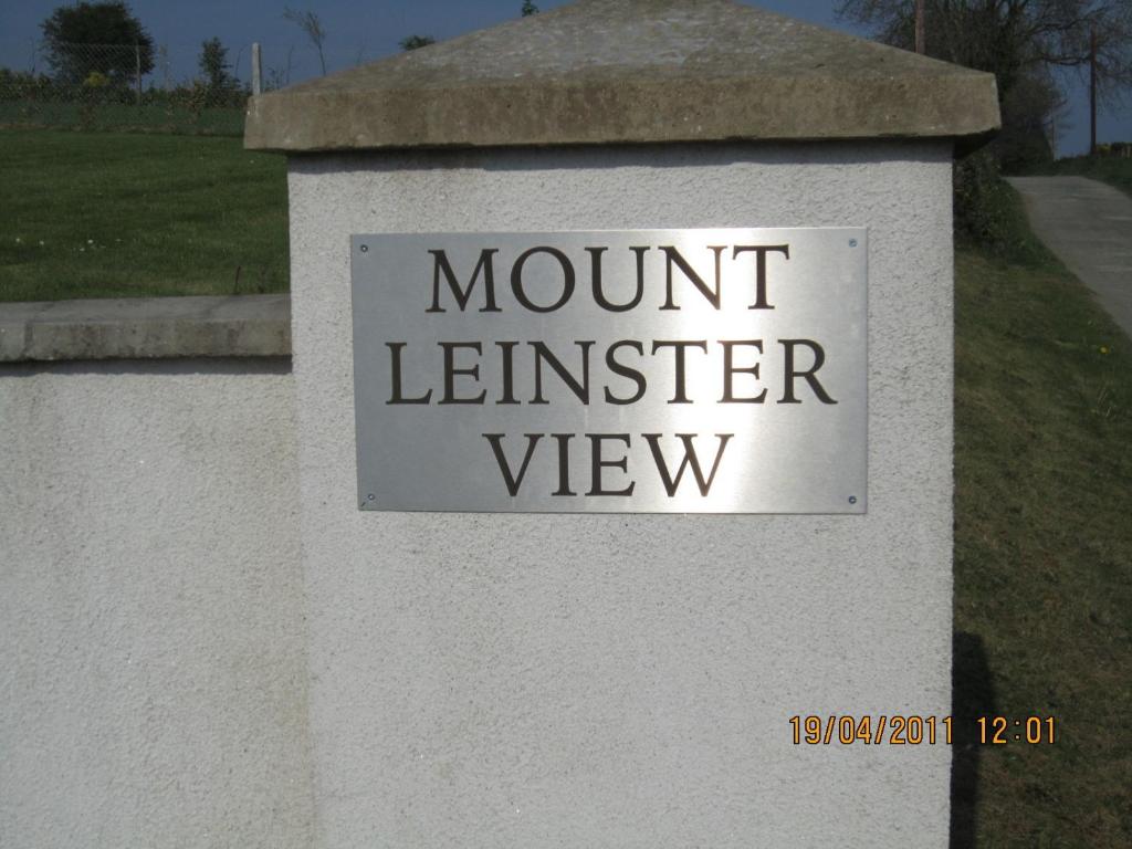Mount Leinster View photo 4