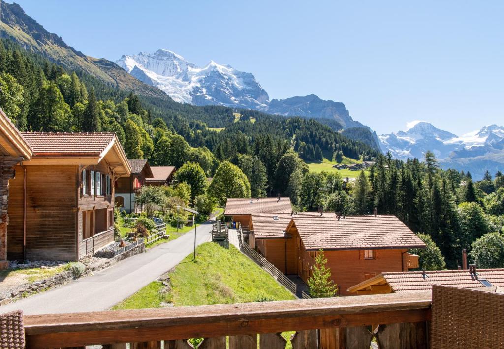 Chalet Des Alpes photo 1