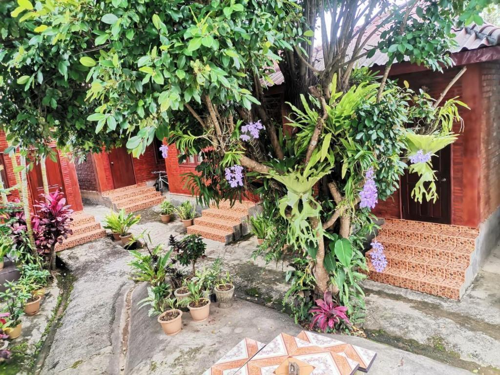 Kongkeo Guesthouse photo 2