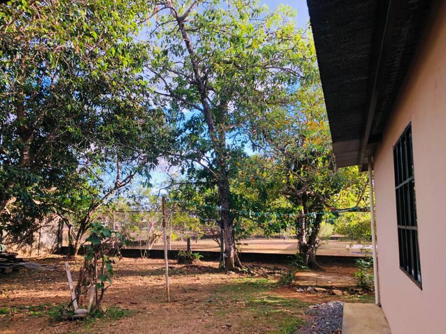 Acogedora vivienda anexa en un barrio tranquilo photo 4