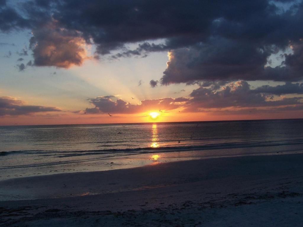 Tropical Beach Resorts - Sarasota photo 2
