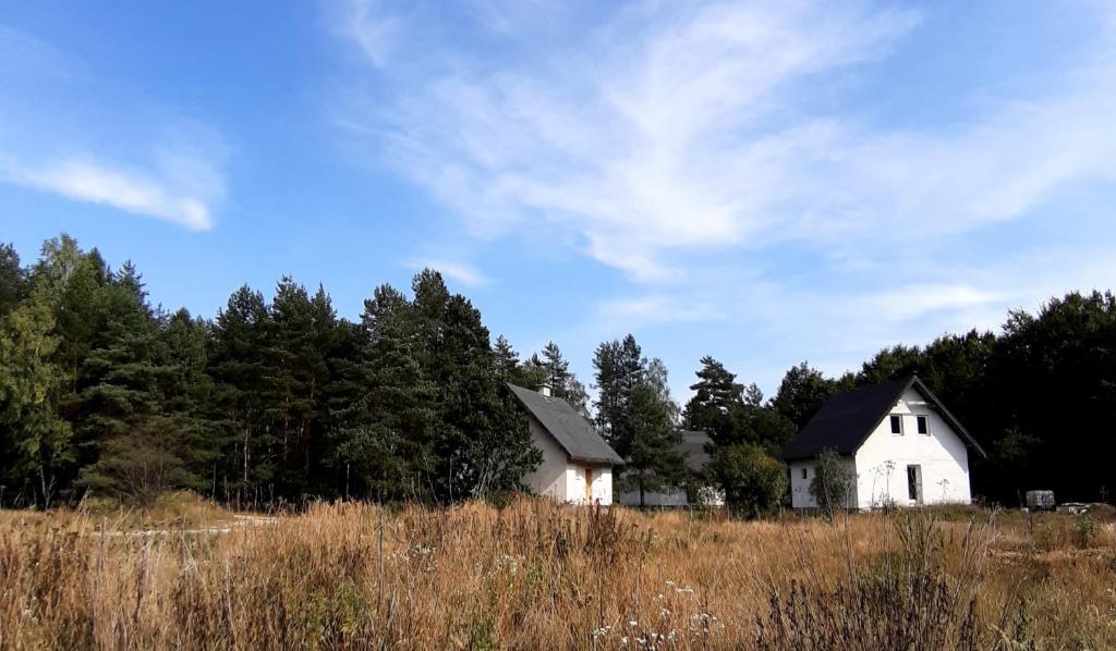 Zielona Perspektywa Agroturystyka photo 2
