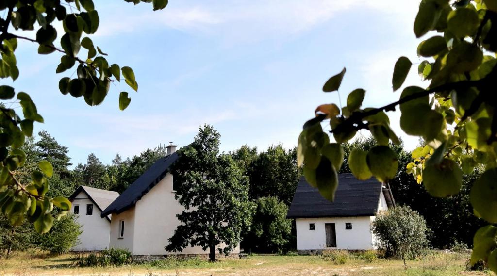 Zielona Perspektywa Agroturystyka photo 1