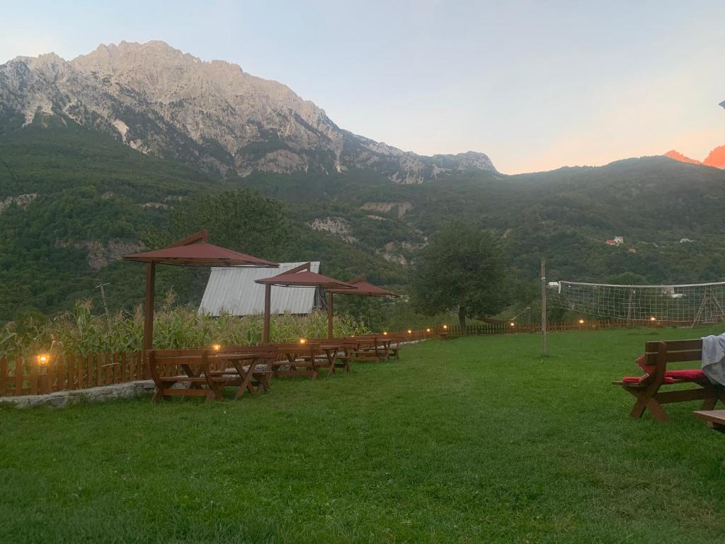 Bujtina Terthorja photo 1