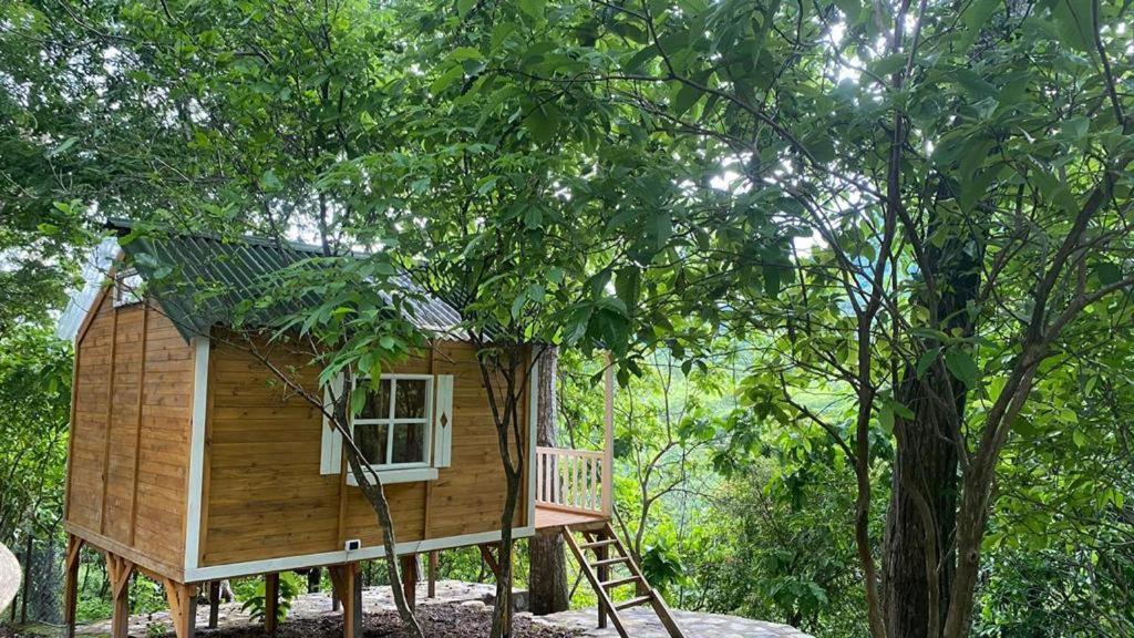 Casa Cumbres Ecolodge photo 4