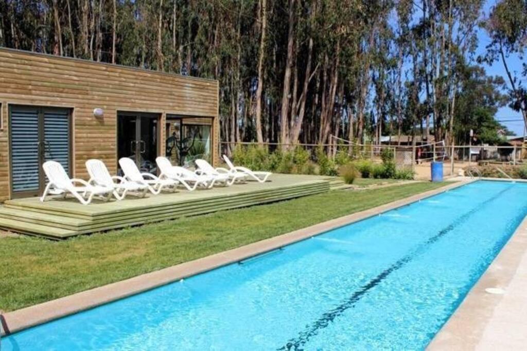 Espectacular departamento amoblado en Algarrobo Norte photo 2