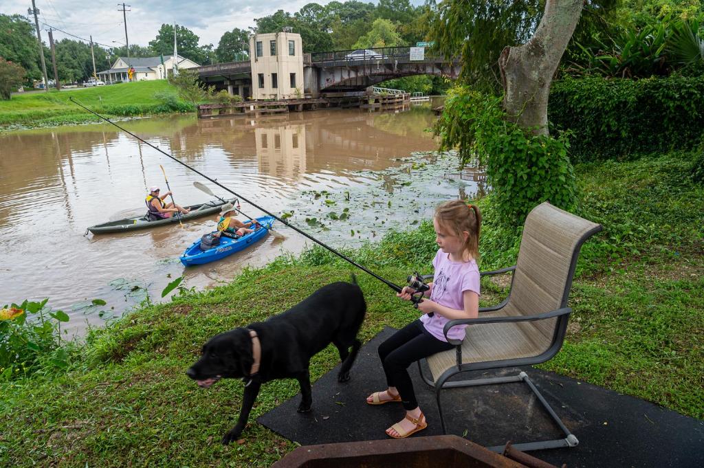 Bayou Chateau photo 4