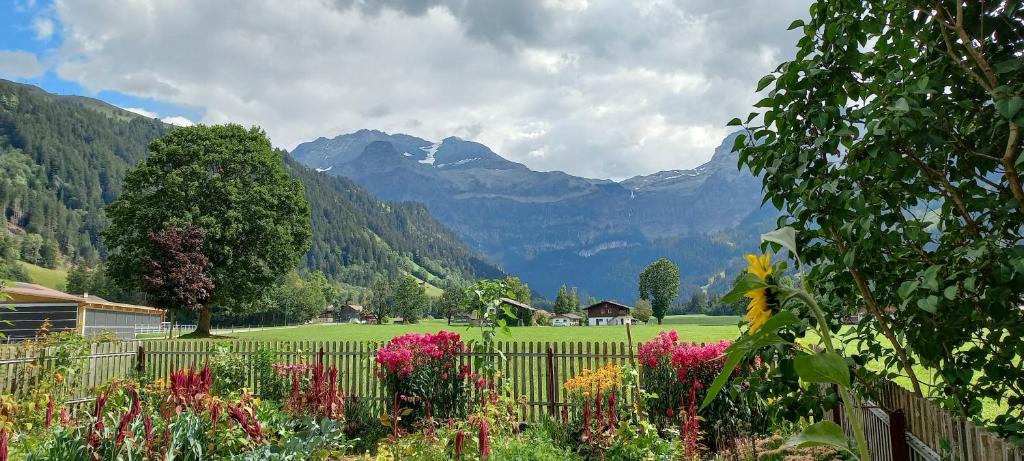 Bühlerhof photo 2