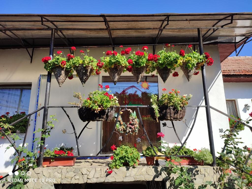 CASA RUSTIK photo 3