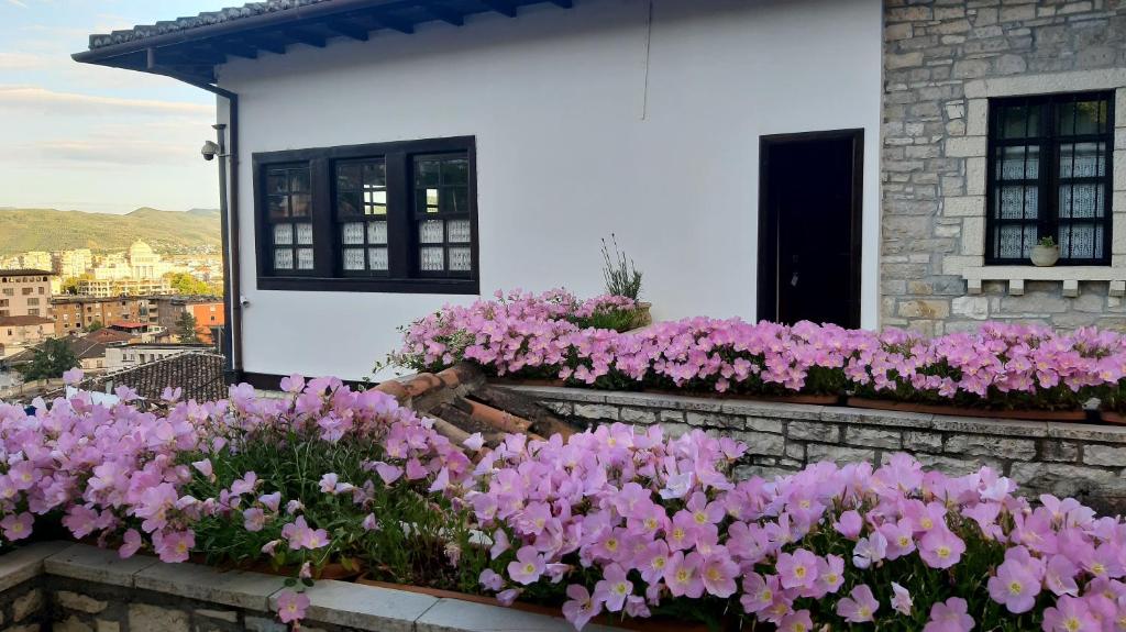 Hotel Vila Aleksander photo 2