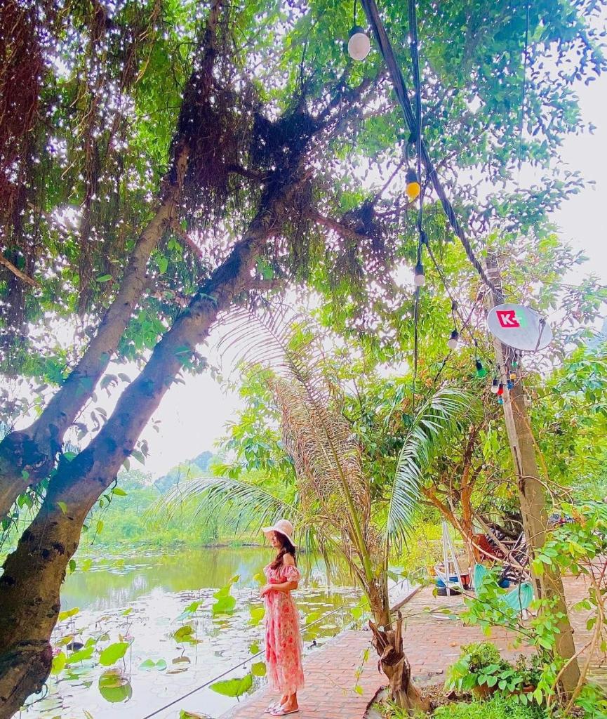 Trang An Valley Bungalow