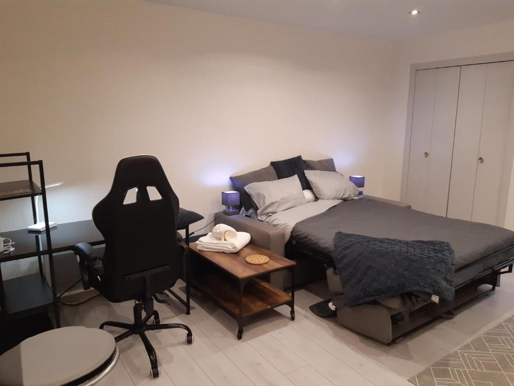 Studio Place du Foirail photo 4
