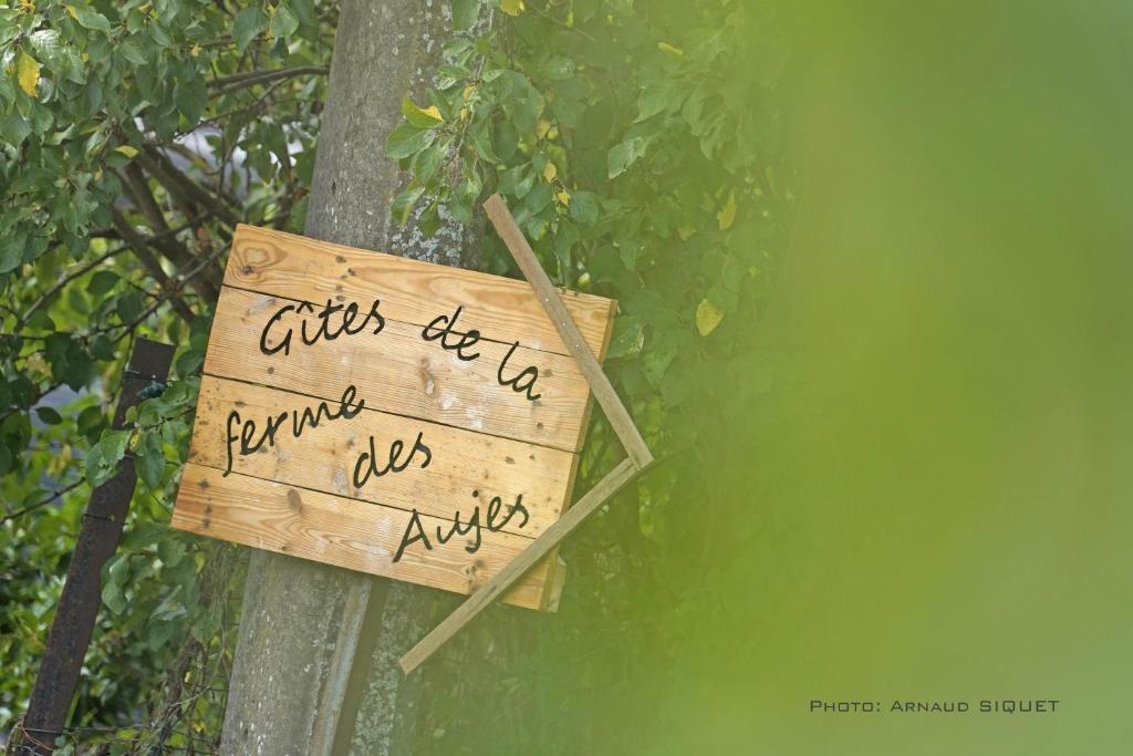 Gîte familial ferme des aujes falaen photo 3