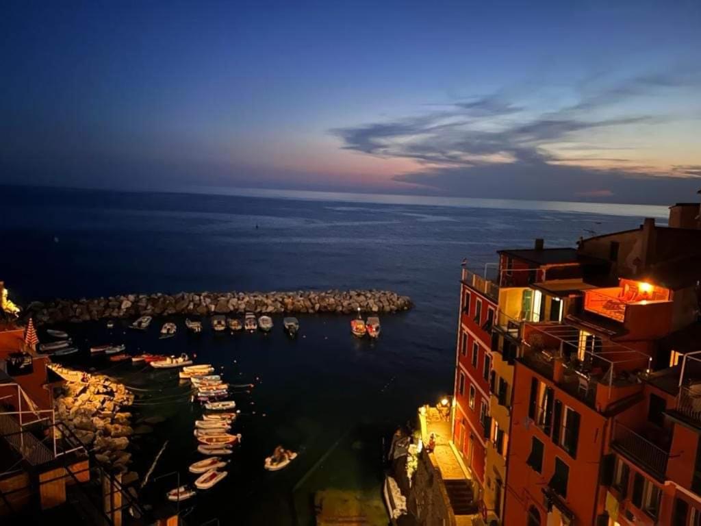 Pepita di Rio photo 2