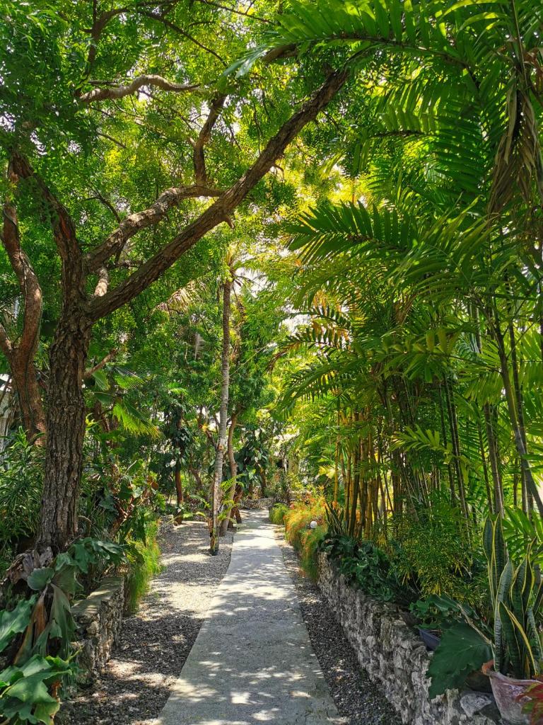 Marcosas Cottages Resort photo 3