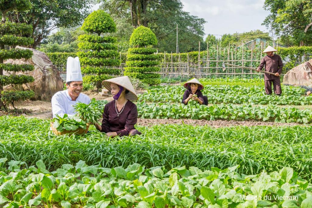 Maison du Vietnam Resort & Spa