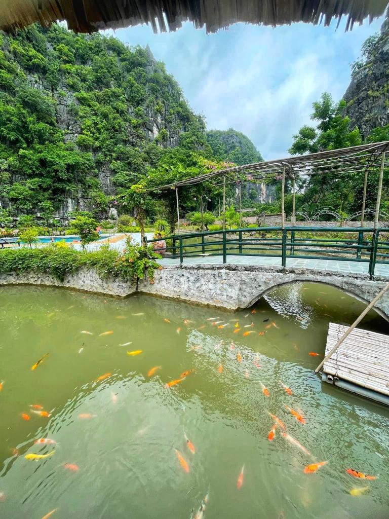 Tam Coc Nature