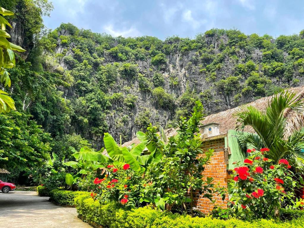 Tam Coc Nature