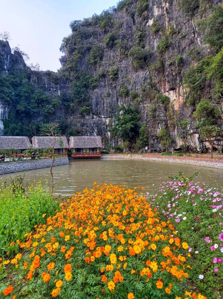 Tam Coc Nature