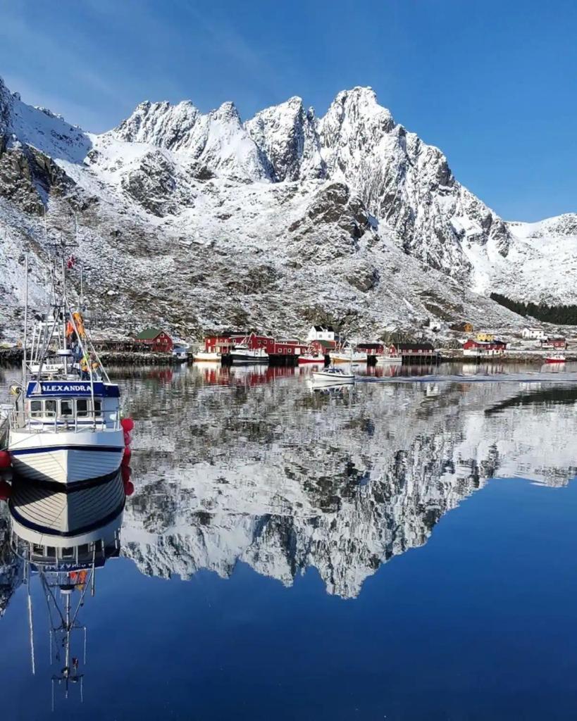 Fish factory -The real Lofoten experience photo 2