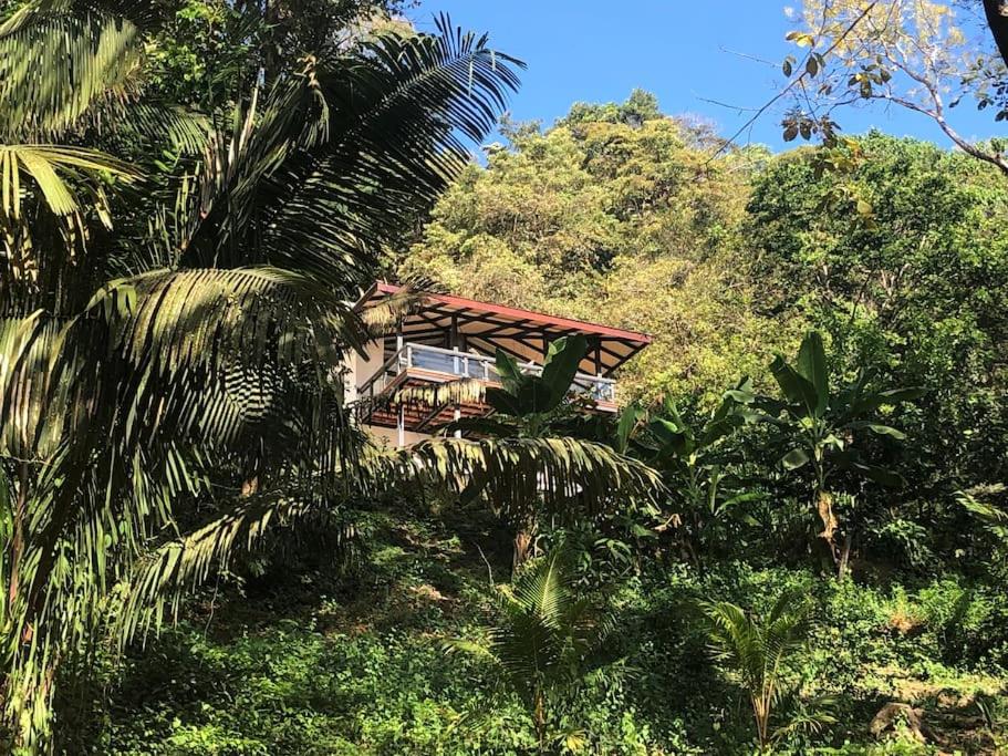 Jungle Villa copa de árbol, oceanview, infinity photo 2