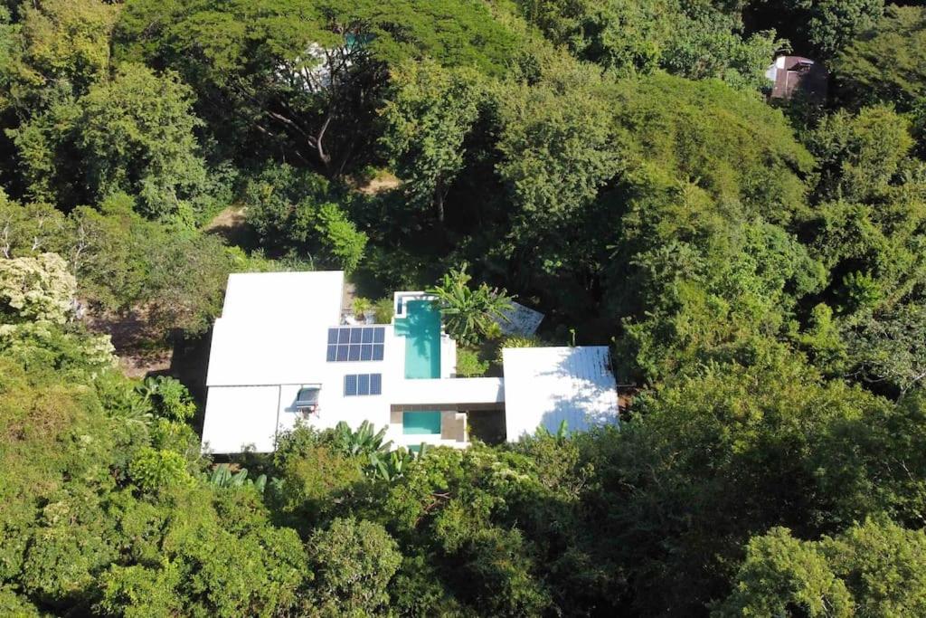Jungle Villa copa de árbol, oceanview, infinity photo 1