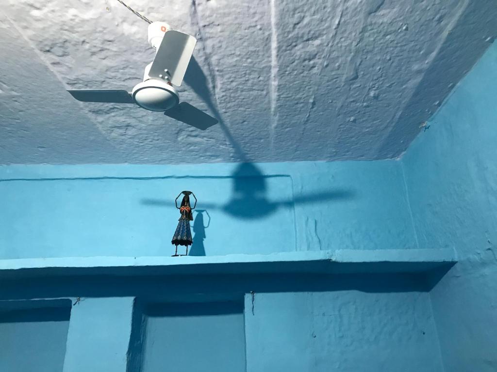 Blue Stay Jodhpur photo 4