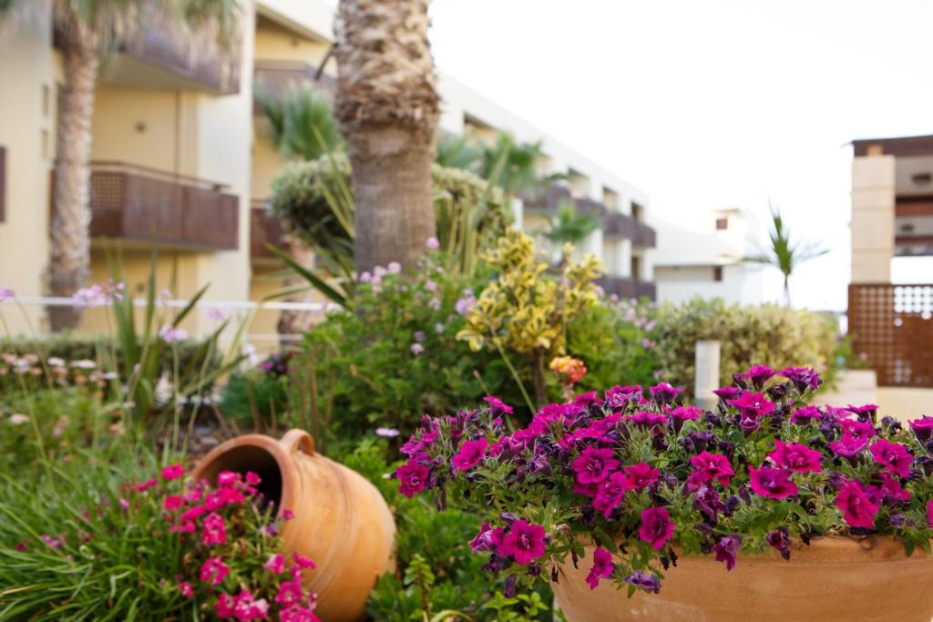 Giannoulis - Santa Marina Plaza (Adults Only) photo 3
