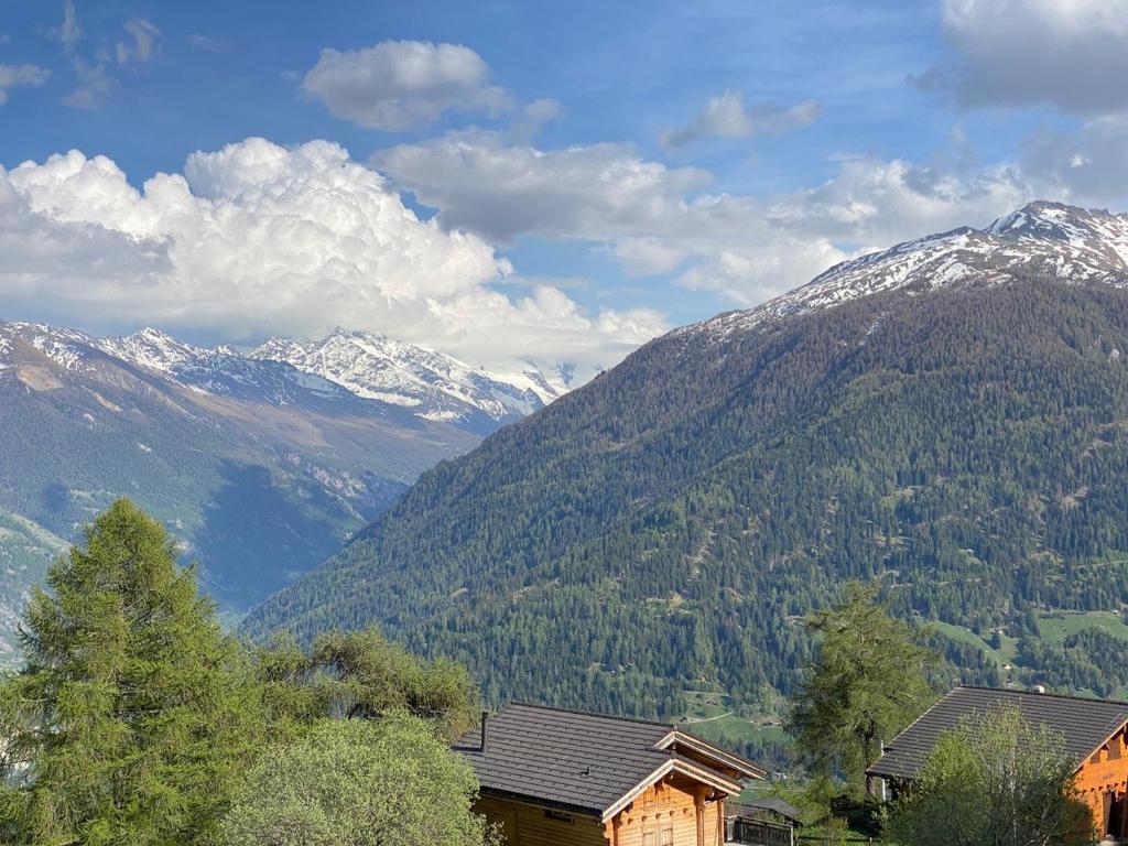 Aiguilles Rouges - Tête Blanche - Thermes de la Dixence photo 4
