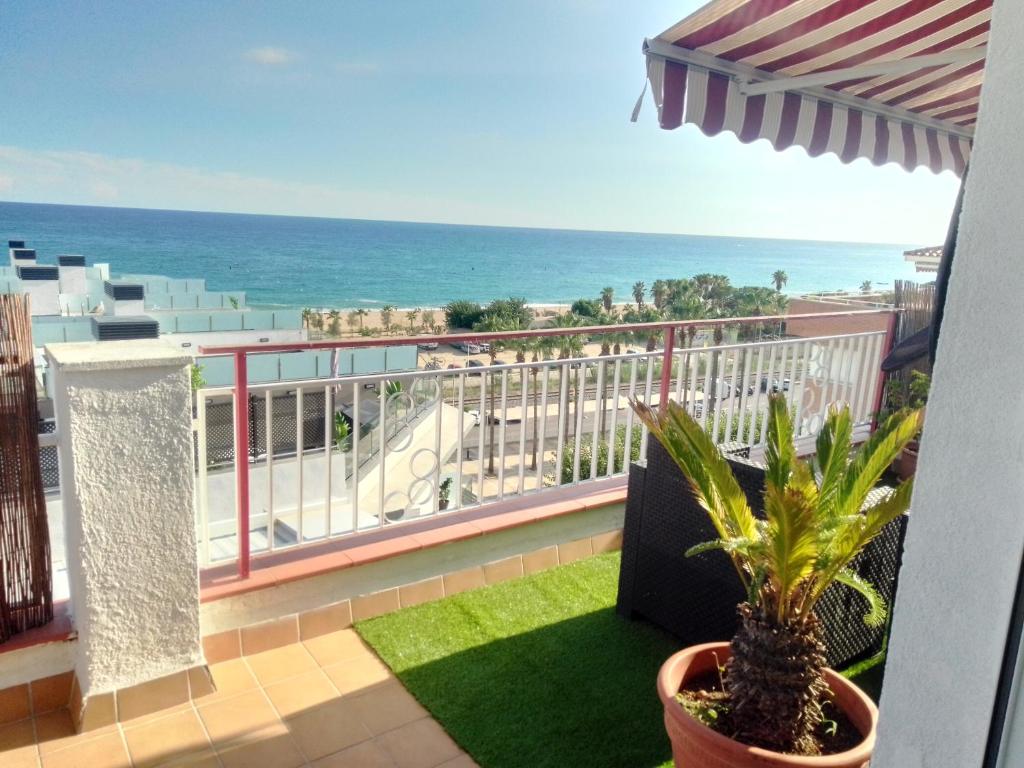 terraza al mar photo 4