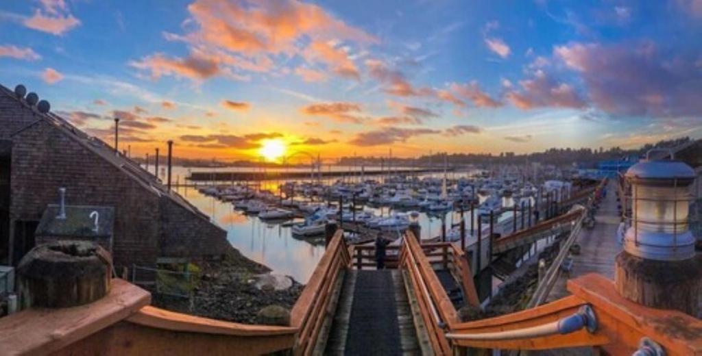 Embarcadero Resort Hotel & Marina image