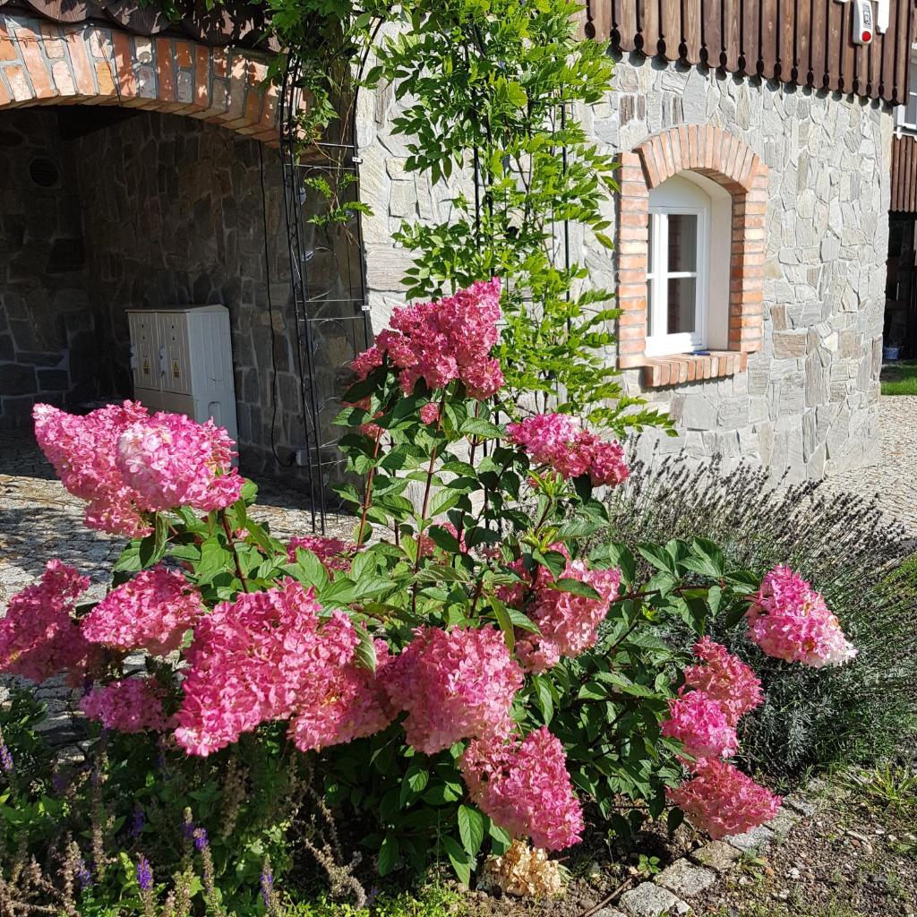 Dom Jesionów photo 4