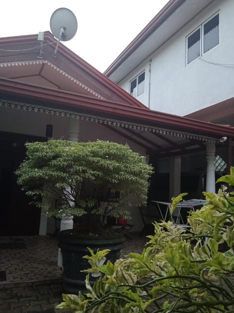 Dream Forest Rest photo 1