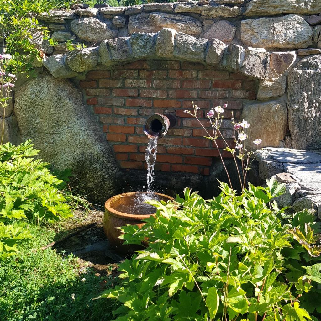 Dom Jesionów photo 2
