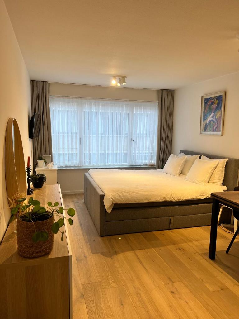 Cosy Studio Testerep , Newly Renovated photo 1