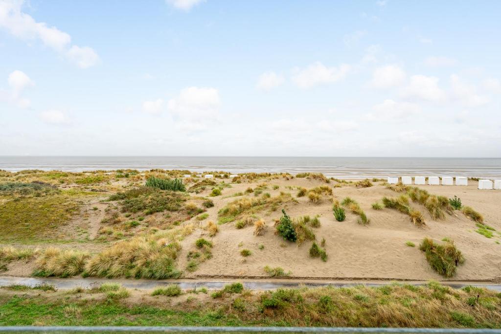 Duin én zeezicht te Zeedijk Oostduinkerke photo 1