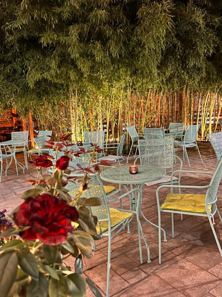Hotel TREVA photo 3