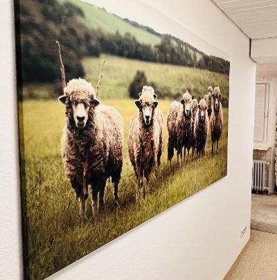 Residenz Goslarsche Straße photo 3