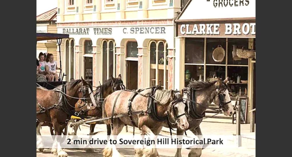 Golden Point Cottage Central Ballarat photo 3