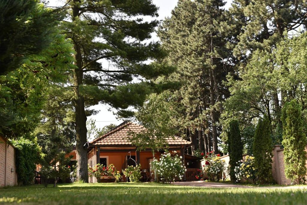 AVALA house photo 1