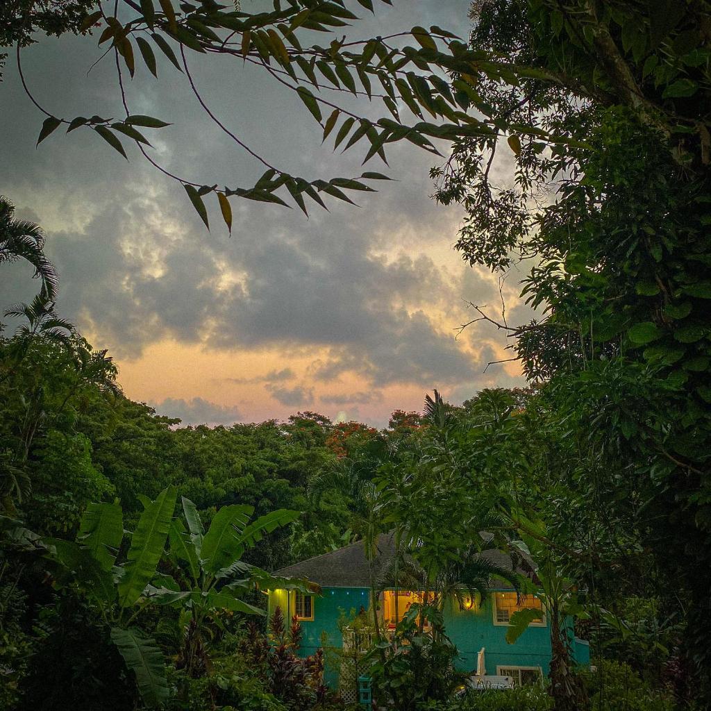 Heavenly Hana Paradise photo 1