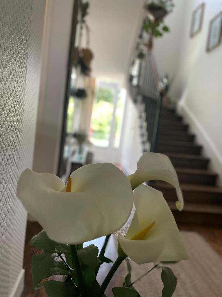 Villa des Roses photo 4