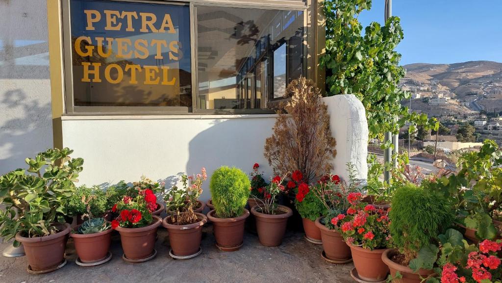 Petra Guests Hotel photo 3
